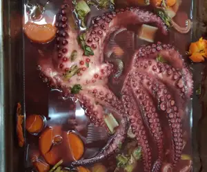 Octopus